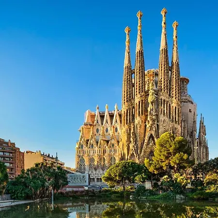 31tilb1041 Magnific In Olimpica * Barcelona